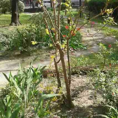 2 Arena - La Chapelle Homestay Paris
